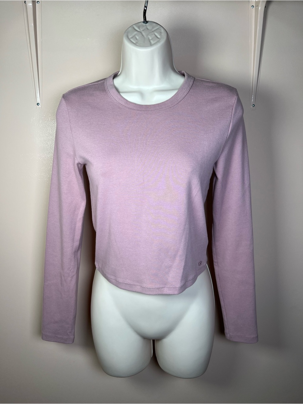 Aritzia Sunday Best Long Sleeve Tee in Mauve